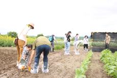 前日の雨で道はぬかるんで子どもがはまっているようす