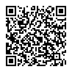 URL：https://forms.gle/T3o1nXSya8xpEajD6