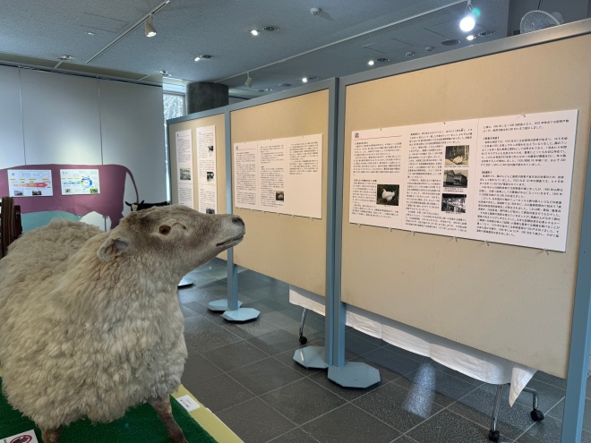 第53回特別展「名寄の畜産史」の写真