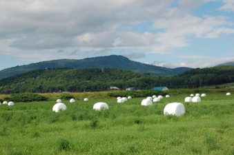 遠くから眺める夏の九度山の写真