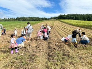 R2年度いもほり体験（主催：名寄市食育推進協議会）