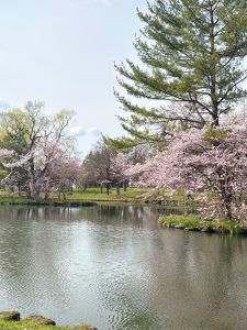 名寄公園