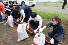 植え付け作業