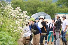 薬用植物のにおいをかいでいる参加者