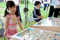 子ども縁日