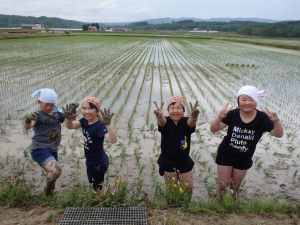 田植え4