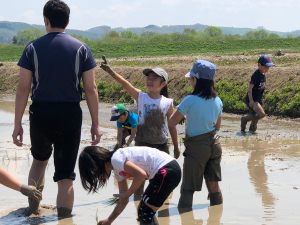 田植え1