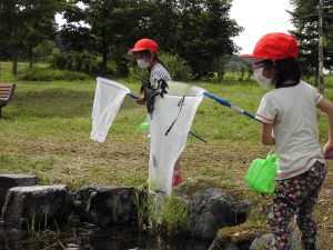 虫取りの様子1