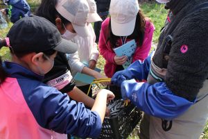 イトウの孵化場見学1