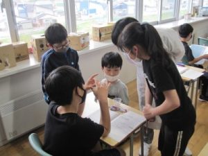 植物の発芽と成長②