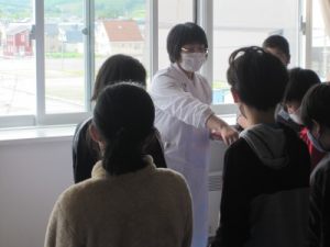 植物の発芽と成長③