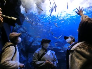 北の大地の水族館での様子