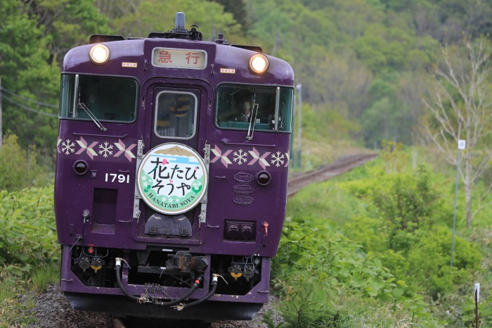 観光列車「花たび　そうや」号