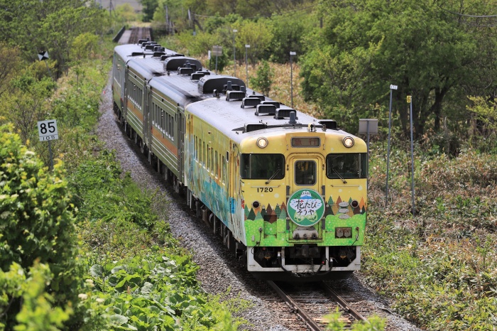 春に運行した観光列車「花たび　そうや」号の様子