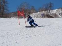 スキーを楽しむ参加者の写真1