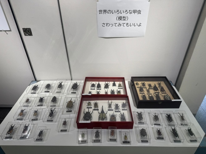 特別展の写真