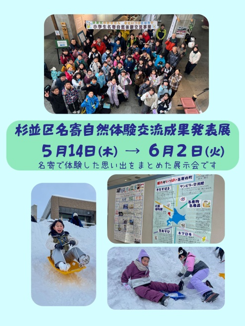 展示のようす