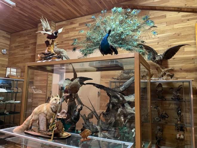 館内2階のようす