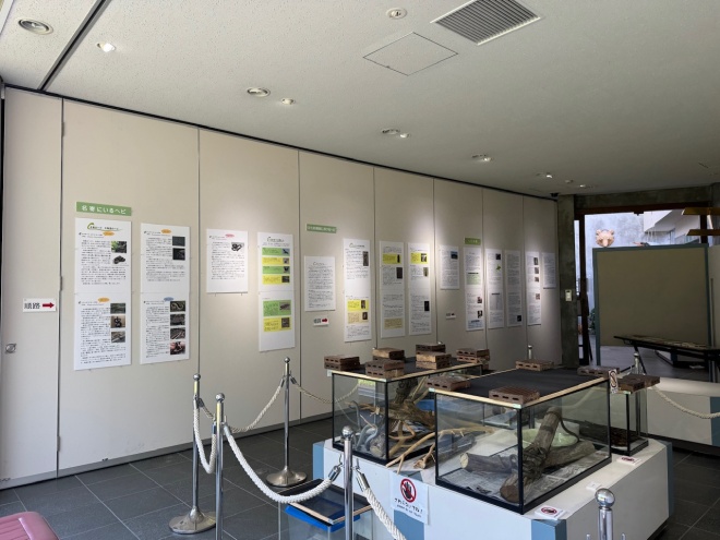 展示のようす