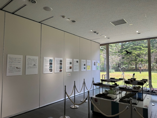 展示のようす