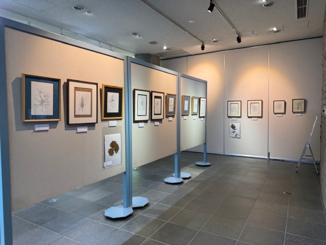 展示のようす